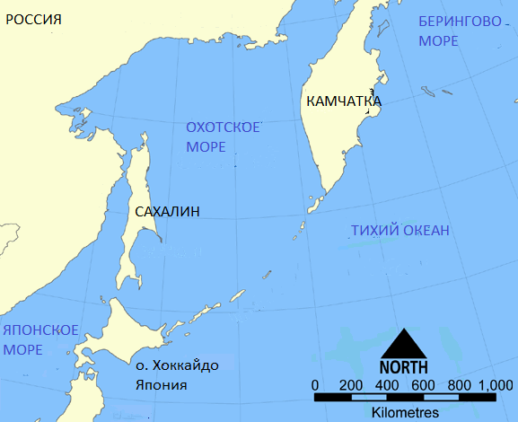 Первая бесплатная дебетовая карта со скидкой везде